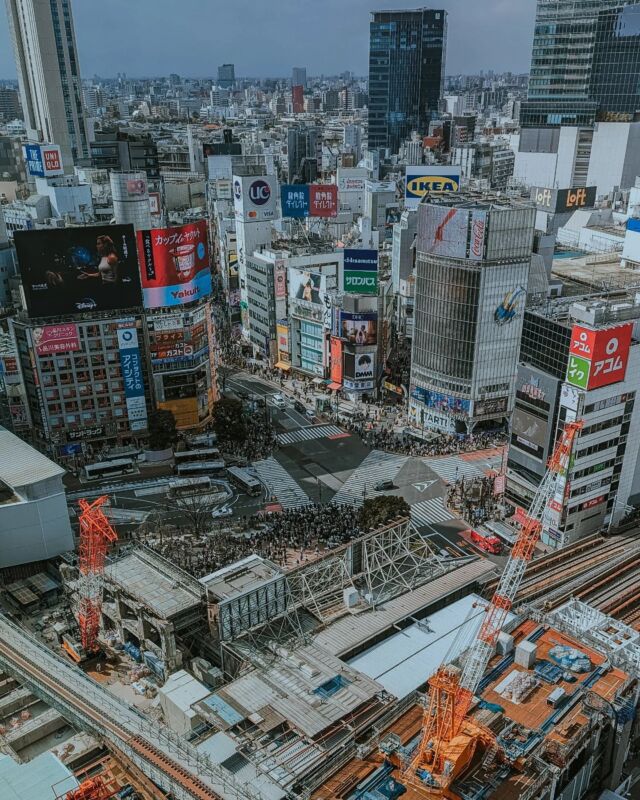 Q. What if one of the usual things in an urban environment is missing?
都市の当たり前がひとつでも欠けたら？

#アーバンサバイバル #urbansurvival #urbansurvivaltokyo #snapshot #streetsnap #streetphotographyjapan #streetsnaps #streetphotography #streetsnapshot #snapphoto #tokyo #japan #tokyophoto #japaneseculture #shibuya #shibuyastation #shibuyastream #google